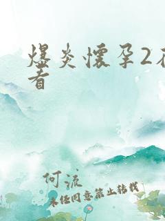 爆炎怀孕2在线看