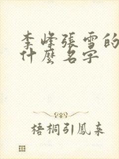 李峰张雪的书叫什么名字