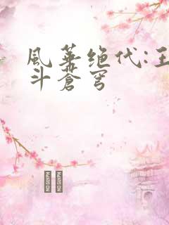 风华绝代:王妃斗苍穹