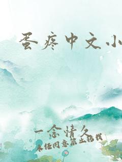 蛋疼中文小说网