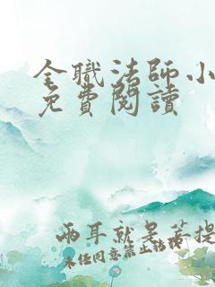全职法师小说 免费阅读