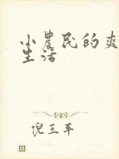 小农民的爽歪歪生活