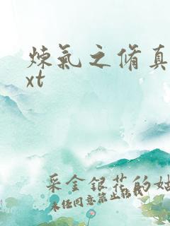 炼气之修真者txt