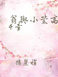 翁与小莹高潮24章