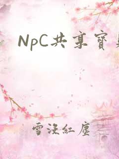 NpC共享宝贝