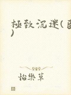 极致沉迷(臣年)