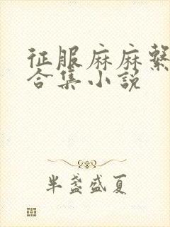 征服麻麻系列大合集小说