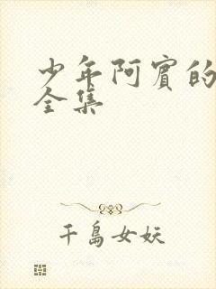 少年阿宾的故事全集