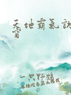 天地霸气诀无弹窗