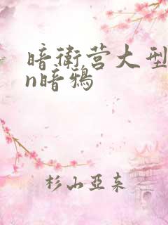 暗卫营大型hpn暗鸦