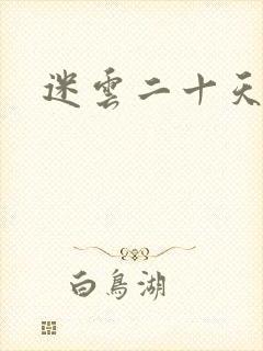 迷云二十天