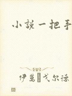 小说一把手