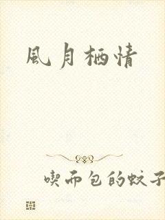 风月栖情
