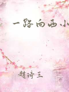一路向西小说