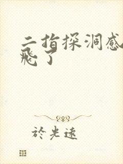 二指探洞感觉要飞了