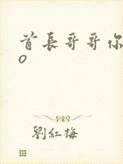 首长哥哥你好po