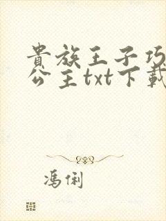 贵族王子巧遇穷公主txt下载