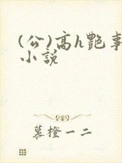 (公)高h艳事小说