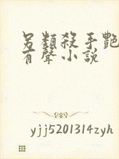 另类杀手艳福星有声小说