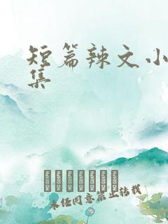 短篇辣文小说合集