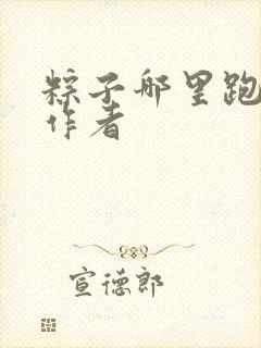 粽子哪里跑小说作者