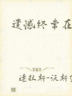 遗憾终常在小说