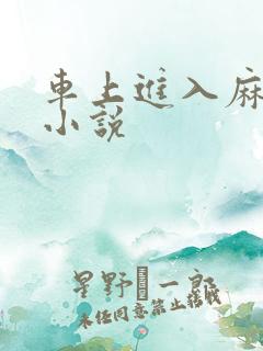 车上进入麻麻的小说