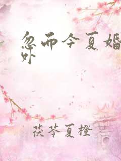 忽而今夏婚后番外