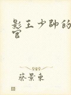 影王少帅的女长官