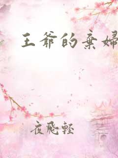 王爷的弃妇