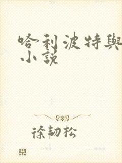 哈利波特与密室小说