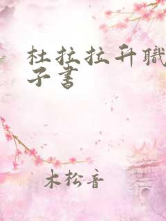 杜拉拉升职记电子书