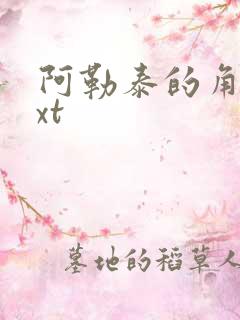 阿勒泰的角落txt