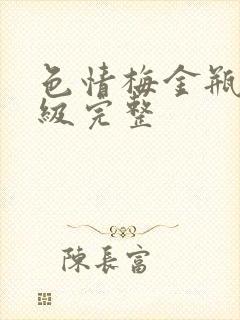 色情梅金瓶2三级完整