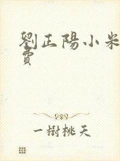 刘正阳小米多免费