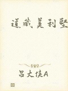道藏美利坚