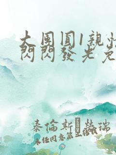 大团圆1亲情会闪闪发光免费