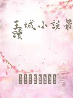 王城小说最近阅读