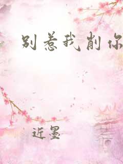 别惹我削你