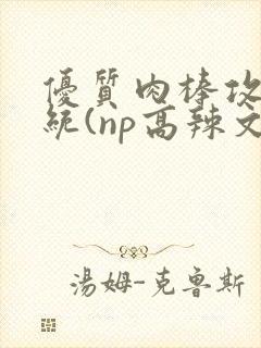 优质肉棒攻略系统(np高辣文)