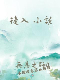 后入 小说