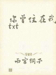 你曾住在我心上txt