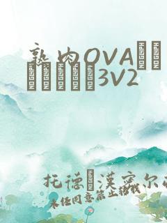 熟肉OVAちゃんはしたい3V2