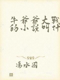 牛爷爷大战小丽的小说叫什么