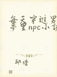 每天穿进男神的梦里npc小说txt