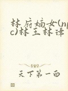 林府嫡女(npc)林玉林璋