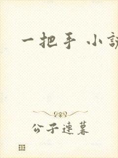 一把手 小说