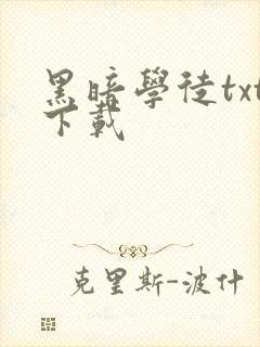 黑暗学徒txt下载