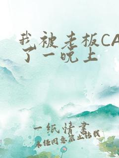 我被老板CAO了一晚上