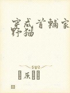 穿成首辅家的小野猫